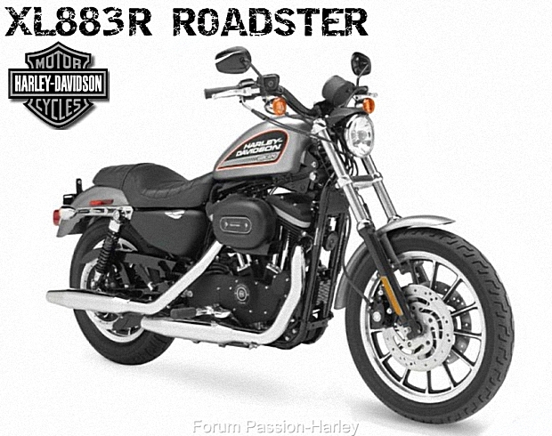 Les Sportster Harley Davidson Par Passion Harley®